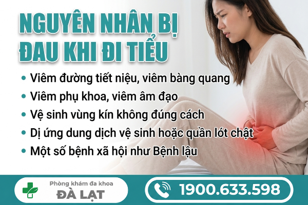 Hình ảnh minh họa
